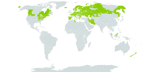 Carex pallescens world distribution map, present in Albania, Austria, Bulgaria, Belarus, Canada, Switzerland, Czech Republic, Germany, Denmark, Spain, Finland, France, Micronesia (Federated States of), Greece, Hungary, Ireland, Iran (Islamic Republic of), Iceland, Italy, Kazakhstan, Malaysia, Netherlands, Norway, New Zealand, Poland, Romania, Russian Federation, Sweden, Turks and Caicos Islands, Tunisia, Ukraine, and United States of America