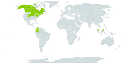 Carex peckii world distribution map, present in Canada, Colombia, Micronesia (Federated States of), Malaysia, and United States of America