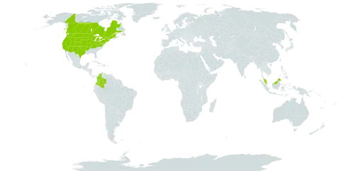 Carex pellita world distribution map, present in Canada, Colombia, France, Micronesia (Federated States of), Malaysia, and United States of America