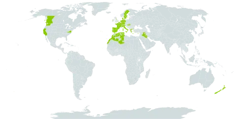 Carex pendula world distribution map, present in Canada, Switzerland, Cyprus, Germany, Denmark, Algeria, Spain, France, United Kingdom of Great Britain and Northern Ireland, Greece, Hungary, Ireland, Iraq, Italy, Morocco, Netherlands, New Zealand, Palau, Portugal, Sweden, Turks and Caicos Islands, Tunisia, and United States of America