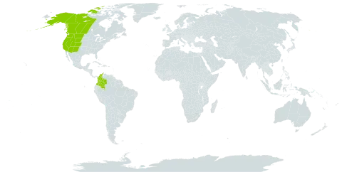 Carex petasata world distribution map, present in Canada, Colombia, and United States of America