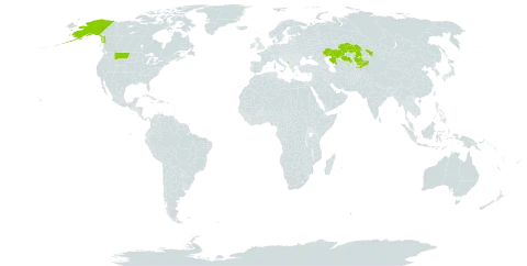 Carex petricosa world distribution map, present in Kazakhstan, Kyrgyzstan, Montenegro, and United States of America