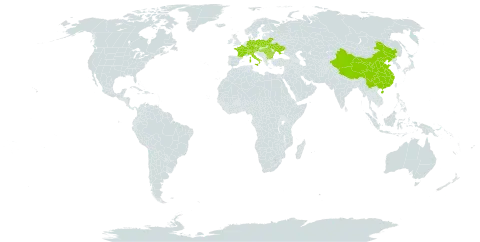 Carex pilosa world distribution map, present in Austria, Bulgaria, Belarus, Switzerland, China, Czech Republic, Germany, France, Hungary, Italy, Poland, Romania, and Ukraine