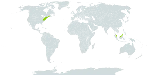 Carex polymorpha world distribution map, present in Malaysia and United States of America