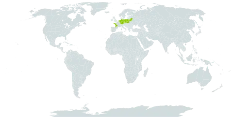 Carex pseudobrizoides world distribution map, present in Belarus, Czech Republic, Germany, France, Netherlands, and Poland