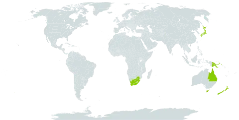 Carex pseudocyperus var. fascicularis world distribution map, present in Anguilla, Australia, Japan, Sri Lanka, New Zealand, Pakistan, Papua New Guinea, and South Africa