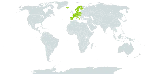 Carex pulicaris world distribution map, present in Austria, Switzerland, Czech Republic, Germany, Denmark, Spain, Finland, France, Hungary, Ireland, Iceland, Italy, Netherlands, Norway, Poland, and Sweden