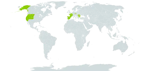 Carex pyrenaica subsp. pyrenaica world distribution map, present in Bulgaria, Czech Republic, Spain, France, Romania, and United States of America