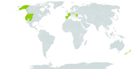 Carex pyrenaica world distribution map, present in Bulgaria, Czech Republic, Spain, France, New Zealand, Romania, Turks and Caicos Islands, and United States of America