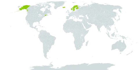 Carex rariflora var. rariflora world distribution map, present in Finland, Iceland, Norway, Sweden, and United States of America