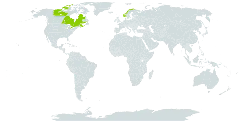 Carex salina world distribution map, present in Canada, France, and Norway