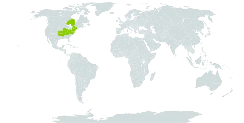 Carex shortiana world distribution map, present in Canada and United States of America