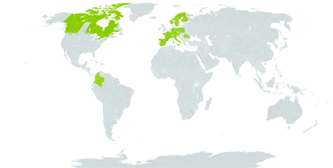 Carex simpliciuscula world distribution map, present in Austria, Canada, Switzerland, Colombia, Czech Republic, Germany, Spain, Finland, France, Italy, Montenegro, Norway, Poland, Romania, Sweden, and Turks and Caicos Islands