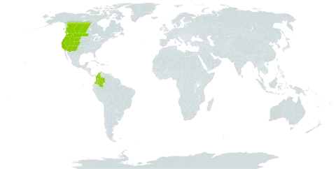 Carex simulata world distribution map, present in Canada, Colombia, and United States of America