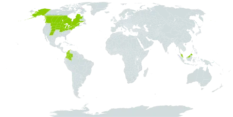 Carex sprengelii world distribution map, present in Canada, Colombia, Micronesia (Federated States of), Malaysia, and United States of America