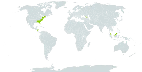 Carex striata world distribution map, present in Åland Islands, Georgia, Malaysia, Nicaragua, and United States of America