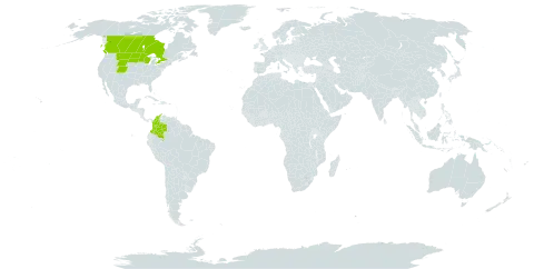 Carex torreyi world distribution map, present in Canada, Colombia, and United States of America