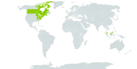 Carex trisperma world distribution map, present in Canada, France, Micronesia (Federated States of), Malaysia, and United States of America