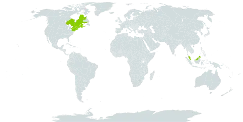 Carex trisperma var. billingsii world distribution map, present in Canada, Micronesia (Federated States of), Malaysia, and United States of America