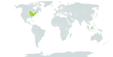 Carex trisperma var. trisperma world distribution map, present in Micronesia (Federated States of), Malaysia, and United States of America