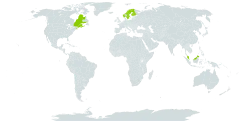 Carex vacillans world distribution map, present in Canada, Finland, France, Malaysia, Norway, Sweden, and United States of America