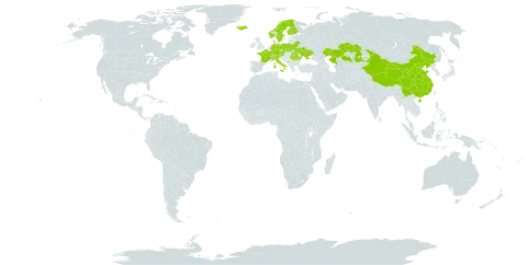 Carex vaginata var. vaginata world distribution map, present in Austria, Belarus, Switzerland, China, Czech Republic, Germany, Finland, France, Micronesia (Federated States of), Iceland, Italy, Kazakhstan, Montenegro, Norway, Poland, Romania, Sweden, and Ukraine