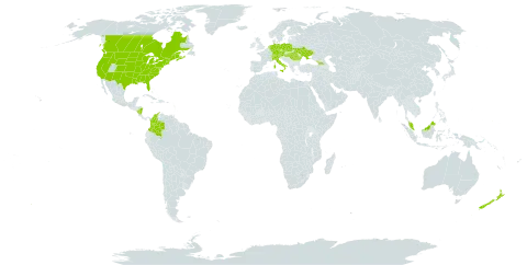 Carex vulpinoidea world distribution map, present in Åland Islands, Austria, Canada, Switzerland, Colombia, Czech Republic, Germany, Dominica, France, Micronesia (Federated States of), Georgia, Hungary, Italy, Malaysia, Nicaragua, Netherlands, New Zealand, Poland, Romania, Turks and Caicos Islands, Ukraine, and United States of America