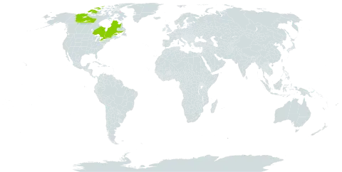 Carex x arctophila world distribution map, present in Canada