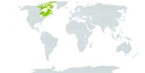 Carex x dumanii world distribution map, present in Canada