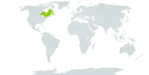 Carex x persalina world distribution map, present in Canada