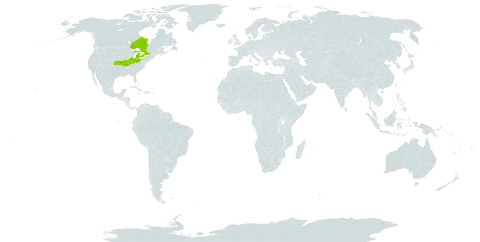 Carex x subimpressa world distribution map, present in Canada and United States of America