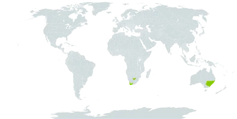 Carpanthea pomeridiana world distribution map, present in Australia and South Africa