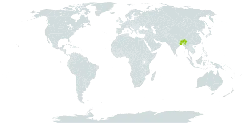 Casearia vareca world distribution map, present in Bangladesh, Bhutan, India, and Myanmar