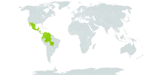 Cassia moschata world distribution map, present in Bonaire, Sint Eustatius and Saba, Belize, Brazil, Colombia, Costa Rica, Ecuador, Guatemala, Guyana, Sri Lanka, Mexico, Nicaragua, Panama, and Venezuela (Bolivarian Republic of)