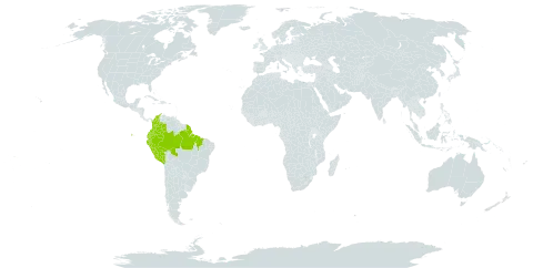 Cassia spruceana world distribution map, present in American Samoa, Brazil, Colombia, Ecuador, French Guiana, and Peru