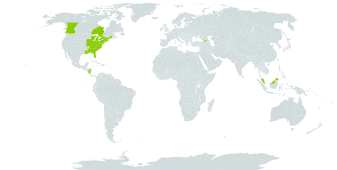 Castanea dentata world distribution map, present in Åland Islands, Canada, Micronesia (Federated States of), Georgia, Malaysia, Nicaragua, and United States of America