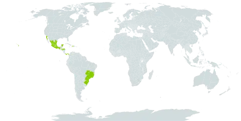 Castilleja arvensis world distribution map, present in Brazil, Honduras, Haiti, Mexico, Panama, and United States of America