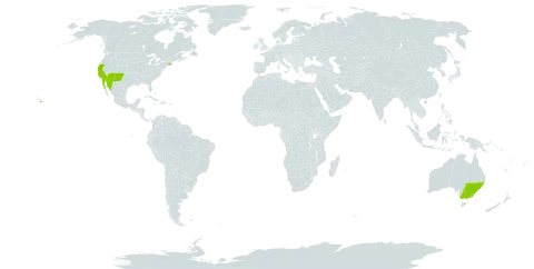 Castilleja exserta world distribution map, present in Australia, Mexico, and United States of America