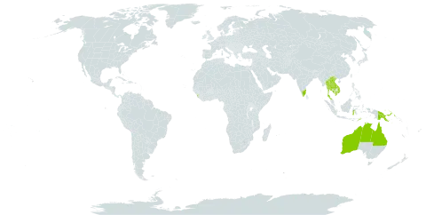 Cathormion umbellatum world distribution map, present in Australia, Indonesia, India, Cambodia, Lao People's Democratic Republic, Sri Lanka, Papua New Guinea, Thailand, Timor-Leste, and Viet Nam