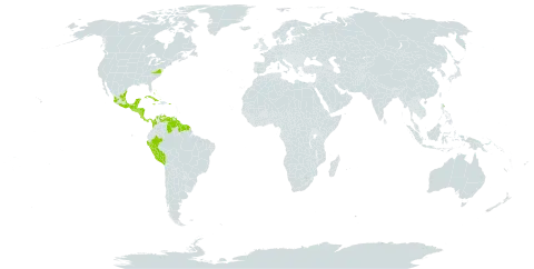 Cayaponia racemosa world distribution map, present in Bahamas, Belize, Barbados, Colombia, Costa Rica, Cuba, Guatemala, French Guiana, Guyana, Honduras, Jamaica, Mexico, Nicaragua, Panama, Peru, Puerto Rico, El Salvador, Suriname, Trinidad and Tobago, United States of America, and Venezuela (Bolivarian Republic of)