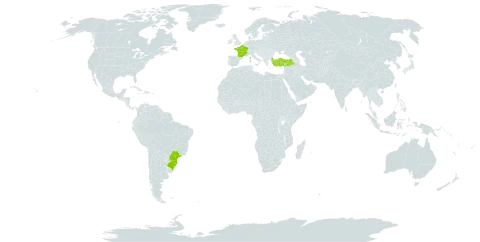 Cedrus libani world distribution map, present in Brazil, France, and Turkey