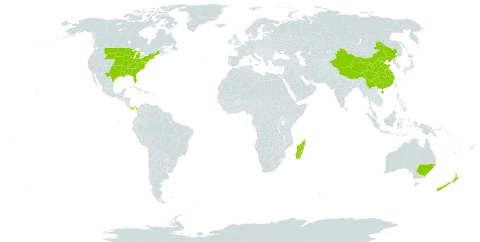 Celastrus world distribution map, present in Australia, China, Fiji, Sri Lanka, Madagascar, New Zealand, Panama, and United States of America