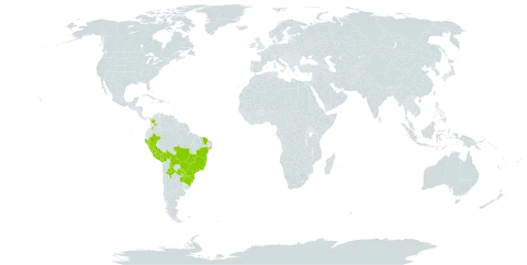 Celtis brasiliensis world distribution map, present in Argentina, Bolivia (Plurinational State of), Brazil, Colombia, Peru, and Paraguay