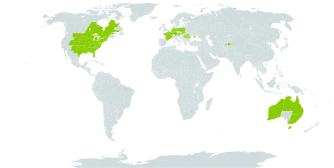 Celtis occidentalis world distribution map, present in Australia, Austria, Canada, Germany, France, Poland, Romania, Serbia, Slovakia, Tajikistan, Ukraine, and United States of America