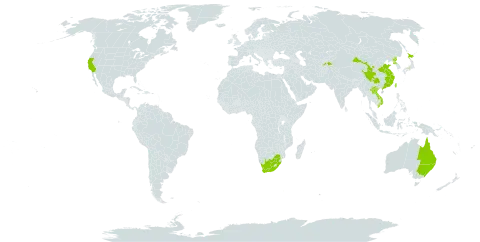 Celtis sinensis world distribution map, present in Australia, China, Japan, Lao People's Democratic Republic, Korea (Democratic People's Republic of), Tajikistan, Taiwan, Province of China, United States of America, Viet Nam, and South Africa