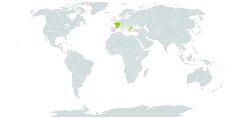 Centaurea affinis subsp. pallidior world distribution map, present in Bulgaria, France, and Greece