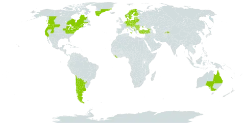 Centaurea jacea subsp. jacea world distribution map, present in Albania, Argentina, Australia, Austria, Belgium, Bulgaria, Bosnia and Herzegovina, Belarus, Canada, Switzerland, Chile, Czech Republic, Germany, Denmark, Estonia, Finland, France, United Kingdom of Great Britain and Northern Ireland, Georgia, Greenland, Croatia, Hungary, Italy, Liberia, Liechtenstein, Lithuania, Luxembourg, Latvia, Moldova (Republic of), North Macedonia, Montenegro, Netherlands, Norway, Poland, Romania, Russian Federation, Serbia, Slovakia, Slovenia, Sweden, Tajikistan, Turkey, Ukraine, and United States of America