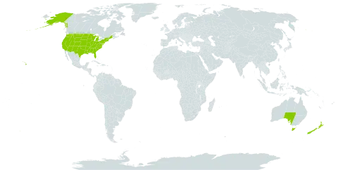 Centaurea world distribution map, present in Australia, New Zealand, and United States of America