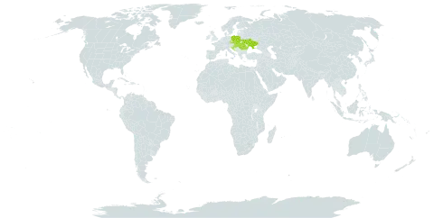 Centaurea mollis world distribution map, present in Czech Republic, Croatia, Hungary, Poland, Romania, Slovakia, Slovenia, and Ukraine