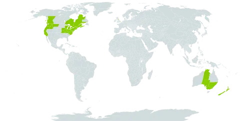 Centaurea nigra world distribution map, present in Australia, Canada, France, United Kingdom of Great Britain and Northern Ireland, New Zealand, and United States of America